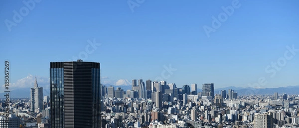 Obraz 日本の東京都市景観「都内から見る富士山と新宿などの高層ビル群を望む」