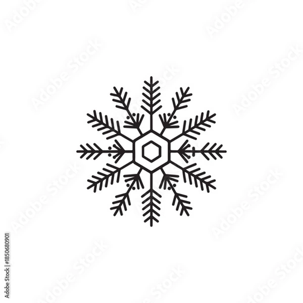 Obraz snowflake on white background