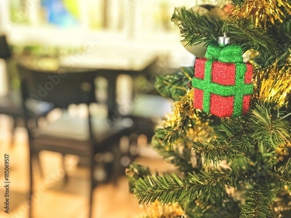 Obraz Czapla białogrzbieta