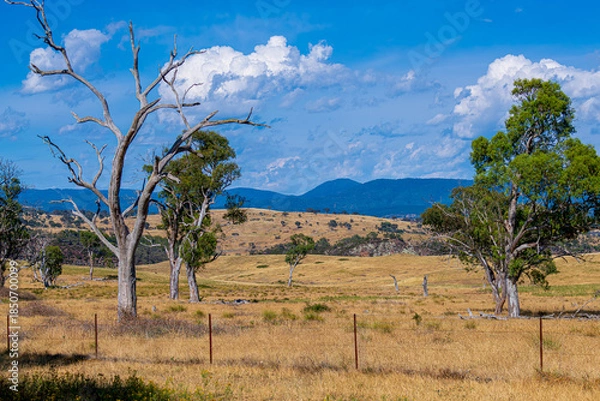 Obraz Rural landscape