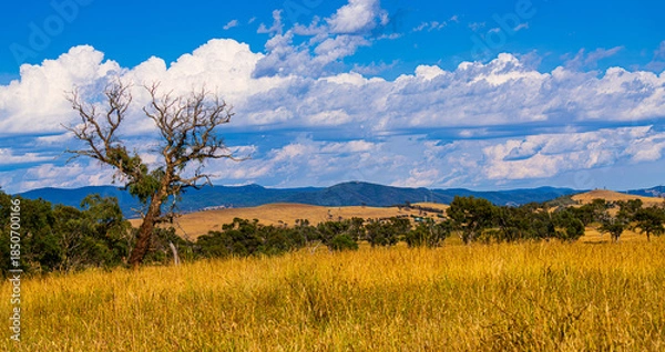 Obraz Rural landscape