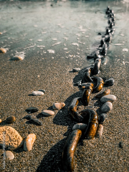 Obraz chain on the beach