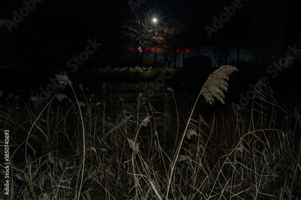 Obraz 겨울, 대한민국, 한국, 서울, 