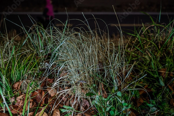 Obraz 안양천 야경 