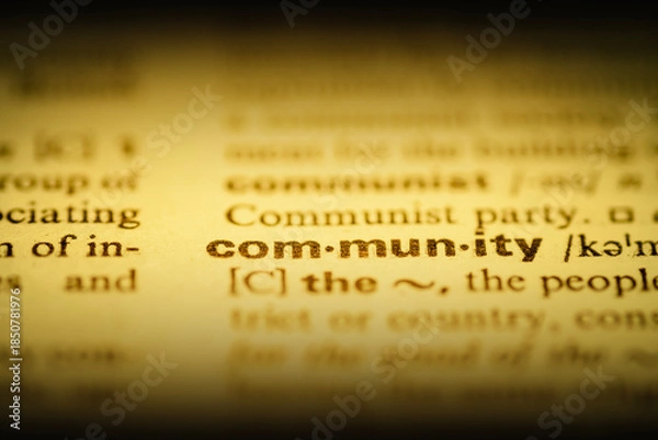 Obraz community word dict