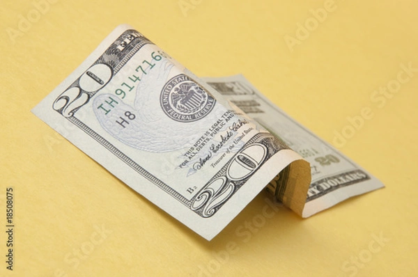 Obraz Curled Twenty Dollar Bill