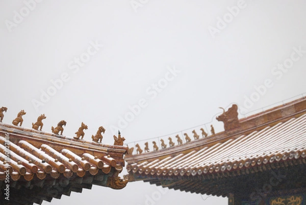 Obraz forbidden city beijing