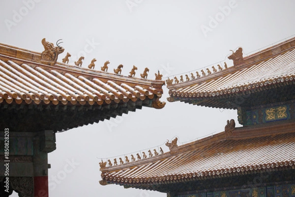 Obraz forbidden city beijing