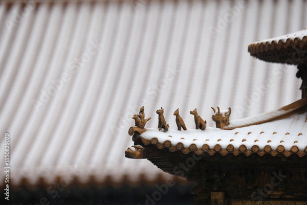 Obraz forbidden city beijing