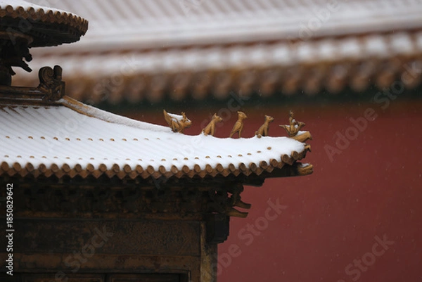 Obraz forbidden city beijing