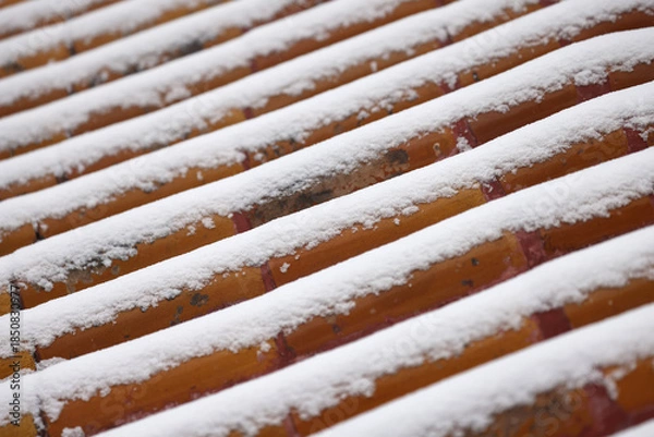 Obraz forbidden city beijing