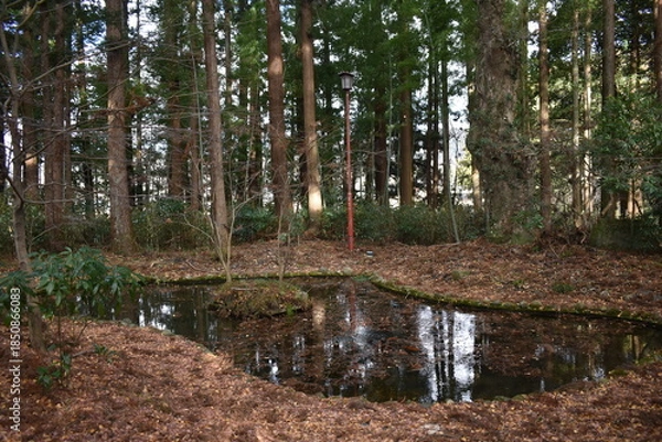 Obraz 八槻都々古別神社