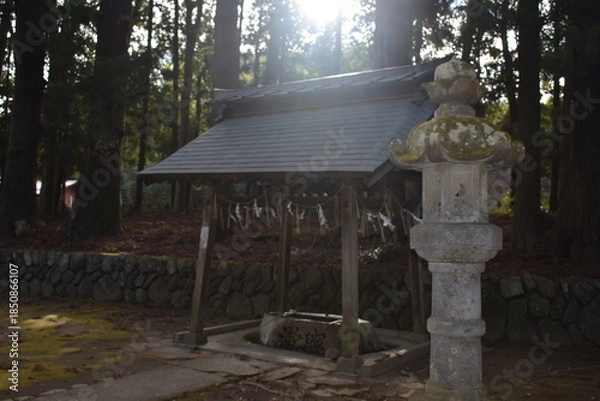 Obraz 八槻都々古別神社