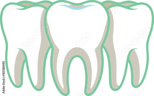 Fototapeta clean white teeth shining smile vector