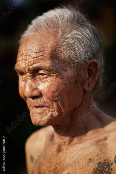 Obraz Tattooed Karen Man