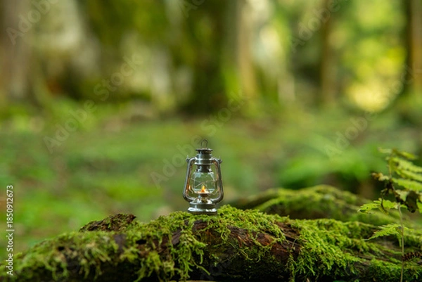 Obraz 森の中のオイルランタン