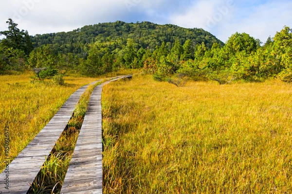 Obraz 燧ヶ岳御池コースの広沢田代