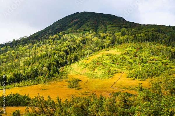 Obraz 秋の燧ヶ岳と熊沢田代