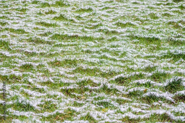 Obraz White snow on the green grass
