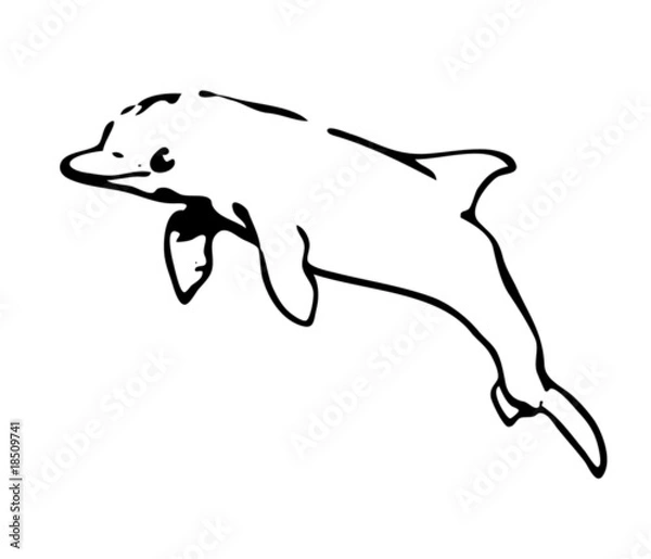 Obraz bottlenose dolphin