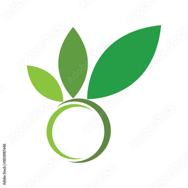 Obraz Green leaf logo design