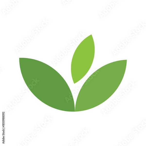 Obraz Green leaf logo design