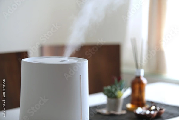 Obraz 冬の時期に空気の乾燥から部屋を守る加湿器