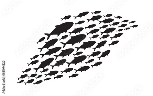 Obraz Fish Swimming Silhouette