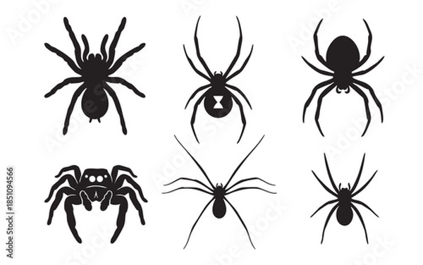 Obraz Spider Arachnid Insect Silhouette Horror Set