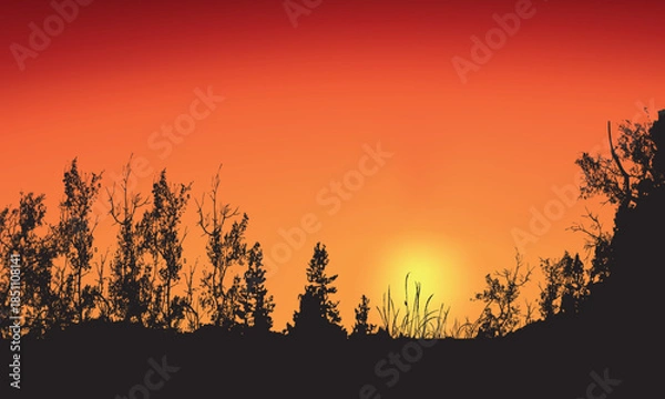 Obraz Orange Sunset Landscape with Tree Silhouettes