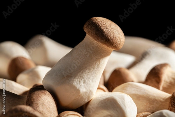 Fototapeta king oyster on black background