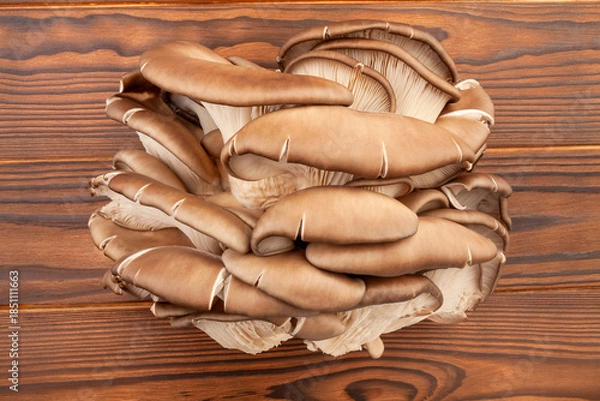 Fototapeta oyster mushrooms on wood background top view