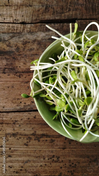 Obraz sunflower sprout in green ceranic blow  on old wood table kitchen