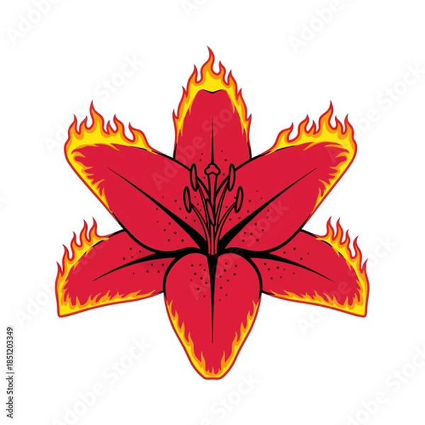 Obraz orange lily flower