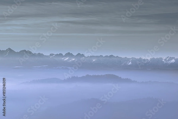 Obraz fog over the river