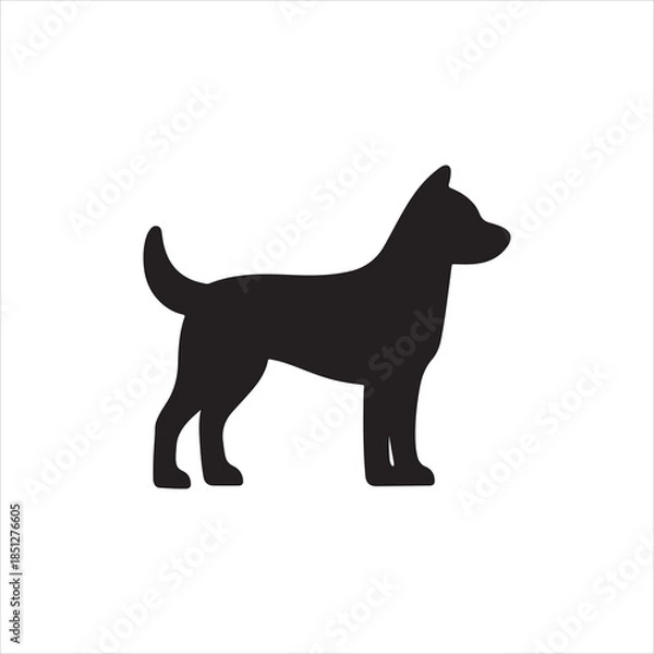 Obraz black and white dog