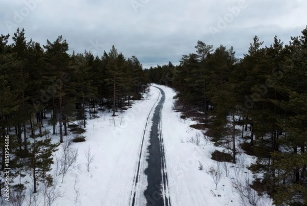 Obraz Snowy forest road with ski tracks under cloudy winter sky