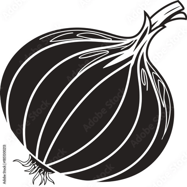 Obraz A simple black and white illustration of an onion Vector