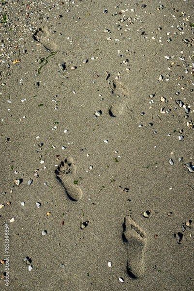 Obraz Footprints on the sandy beach