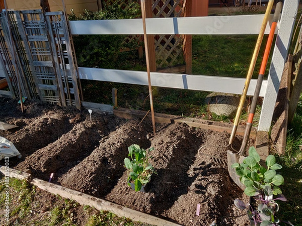 Obraz gardening tools in garden