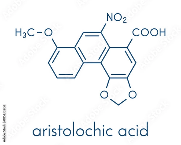 Fototapeta Aristolochic acid plant poison molecule. Has carcinogenic and nephrotoxic (kidney damaging) properties. Found in Aristolochia and Asarum herbs, often used in Chinese herbal medicine. Skeletal formula.