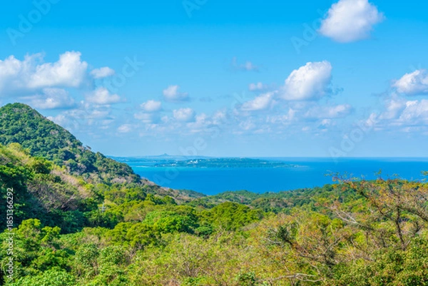 Obraz 坊主森付近より古宇利島を望む