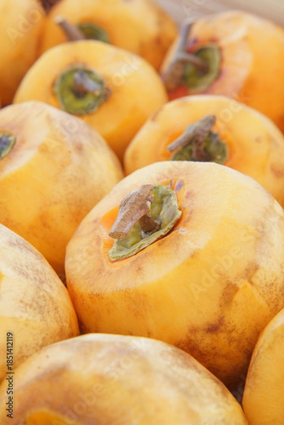 Fototapeta 日本の食べ物｜干し柿を作る・枝をT字型に残し皮を剥いた柿