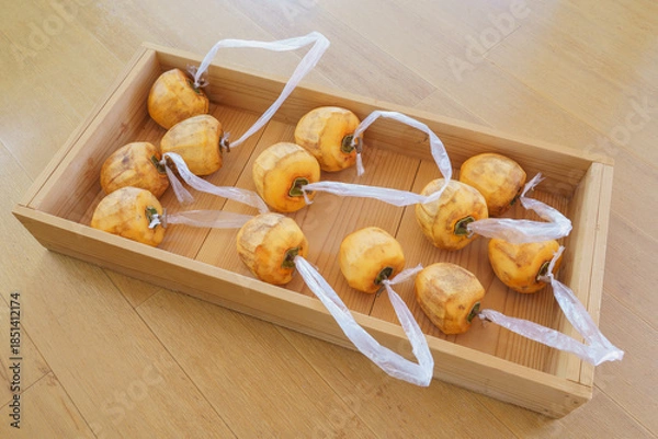 Fototapeta 日本の食べ物｜干し柿を作る・枝をT字型に残し皮を剥いた柿に紐をつける