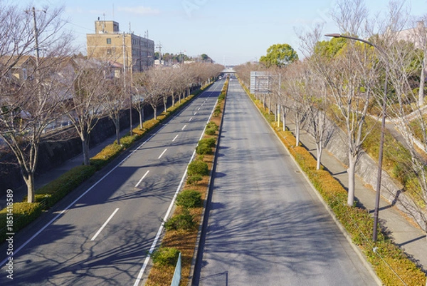 Fototapeta 【日本の風景】一直線の道路｜千葉県千葉市緑区・塩田町誉田町線