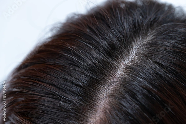 Obraz 髪　女性　クローズアップ