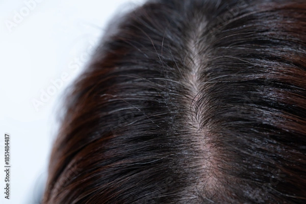 Obraz 髪　女性　クローズアップ