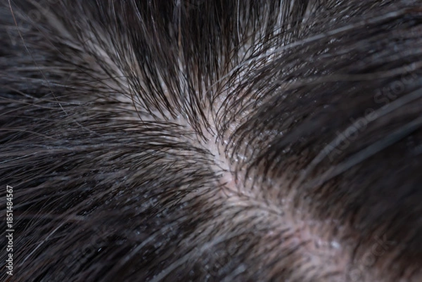 Obraz 髪　女性　クローズアップ