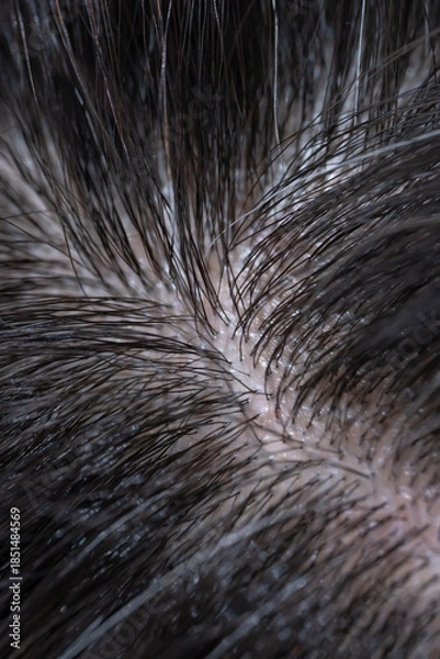 Obraz 髪　女性　クローズアップ