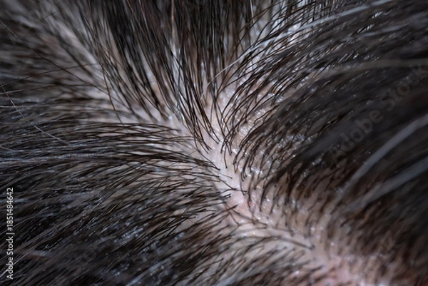 Obraz 髪　女性　クローズアップ